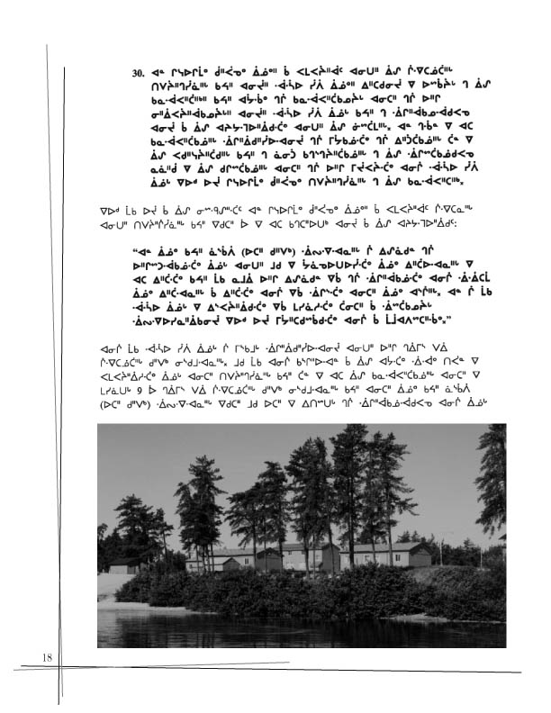 11362 CNC Annual Report 2002 CREE - page 18